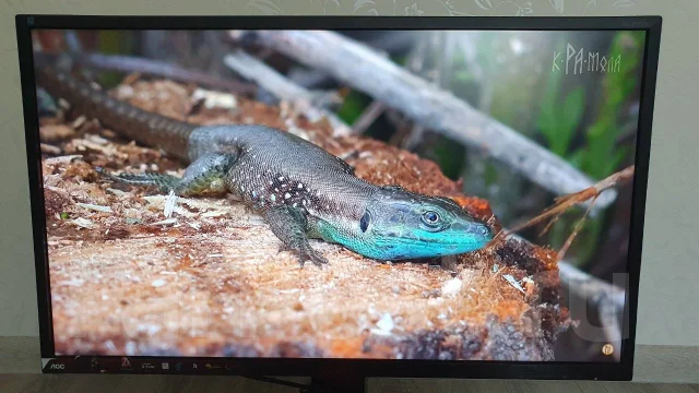 AOC. 27", ���������� �� (LCD, LED, QLED) ����