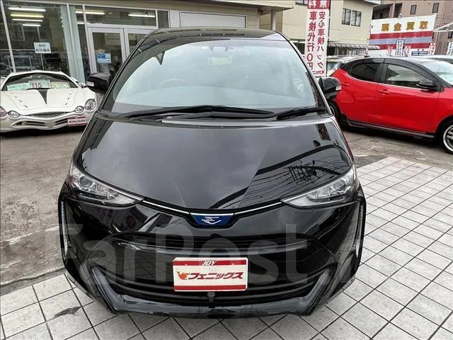 Toyota Estima. ��������, 4wd, 2.4 (150��.�.), ������, 22����. ��, �/�. ��� ����� �� ������������ ����