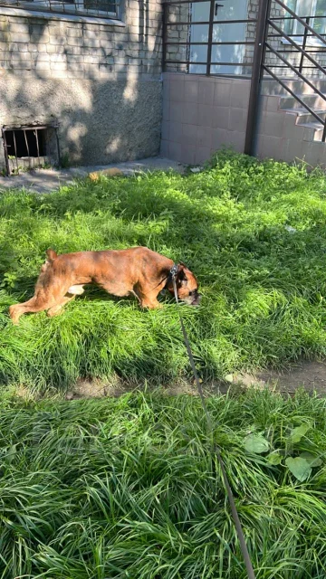 ������. ����