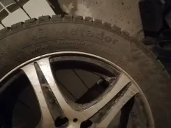 Matador. ������, ����������, 2020 ���, �/�, ����� 20�% ����