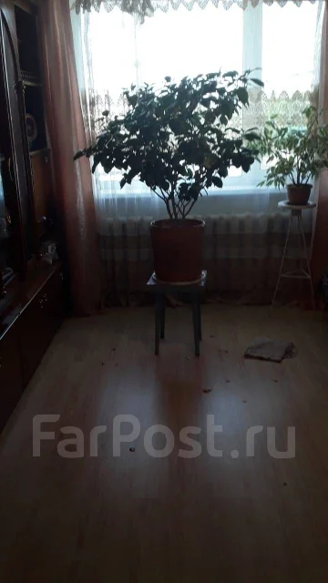6 ������ � �����, ����� ����� (�. ������� ��) 11. �. ������� ��, ������� ����, 76���.��., 1/1 ����. �������� ����