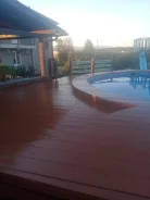 �������/ �������/ �������/ ������ ����