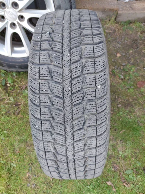 Federal Himalaya WS2. ������, ��� �����, 2019 ���, �/�, ����� 10 %. ��������� ����