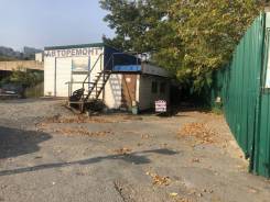 �������. ��� �������. ����� ����������� 21� ����