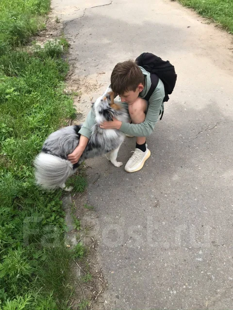 �����. ����