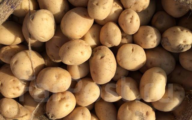 Продам картофель - Домашние продукты во Владивостоке