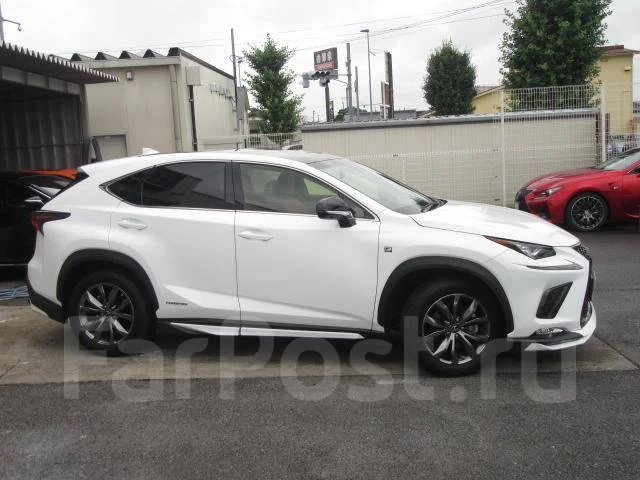 Lexus NX300. �������, 4wd, 2.0 (238��.�.), ������, 16 000����. ��, �/�. ��� ����� �� ������������ ����