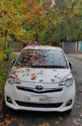 Toyota Ractis. ��������, ������, 133����. �� ����