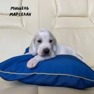 ���������� ������. ����