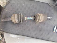 ������ �������� ������ ����