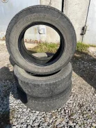 Bridgestone Winter Dueler DM-Z2. ������, ��� �����, �/�, ����� 50 % ����