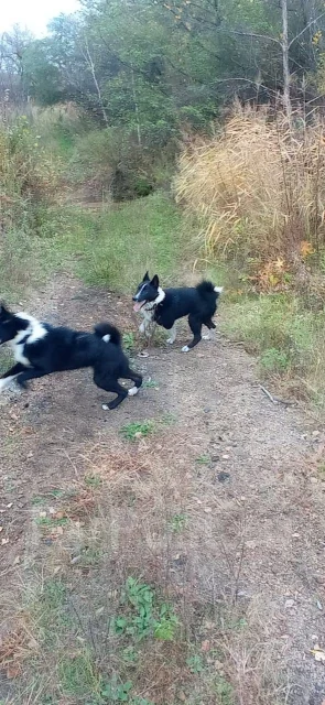 �����. ����