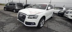 Audi Q5. 8R, CDN ����
