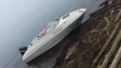 Bayliner. 2014 ���, ��������� ���������, 115��.�., ������ ����