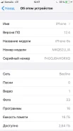 Apple iPhone 6s. �/�, ������ ����