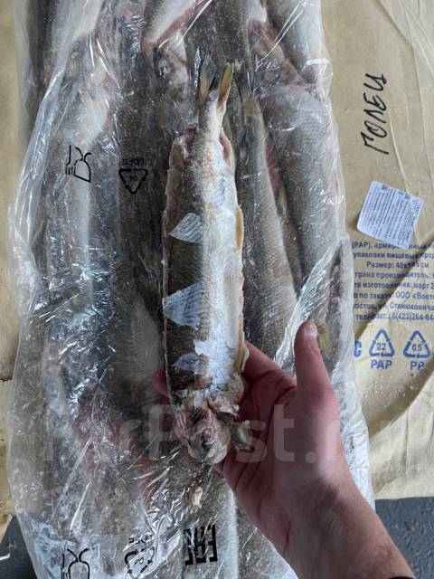 Корюшка Зубатка - Рыба и морепродукты во Владивостоке
