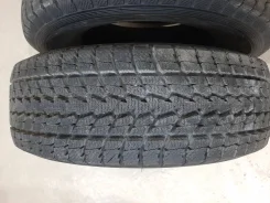 Toyo Winter Tranpath S1. ������, ��� �����, 2021 ���, ����� ����
