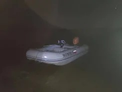 ������ 460. 2019 ���, ����� 4,6��., ��������� ��� ���������, 50��.�. ����