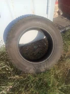 Michelin X-Ice North 4. ������, ����������, 2020 ���, �/�, ����� 5 % ����