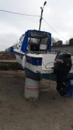 �����. ����