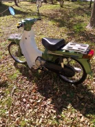 Suzuki Birdie. 49����. ��., ��������, ���������, ������ �� �� ����
