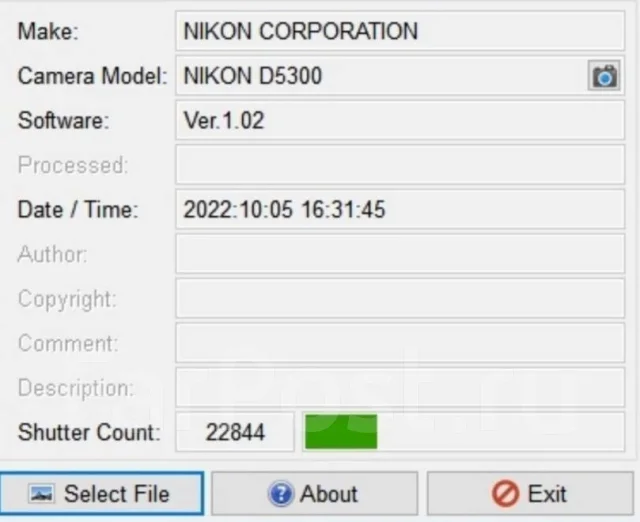 Nikon D5300. 20 � ����� ��, ���: ��� ���� ����