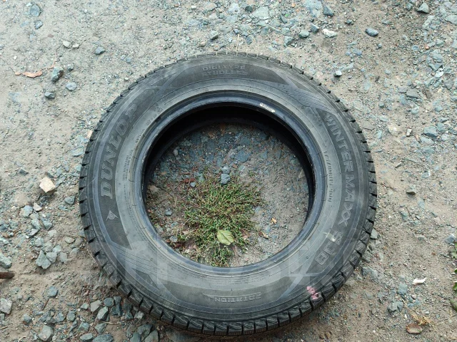 Dunlop Winter Maxx SJ8. ������, ��� �����, 2015 ���, �/�, ����� 5 % ����