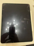 Apple iPad Pro. 12.9 ������ ����