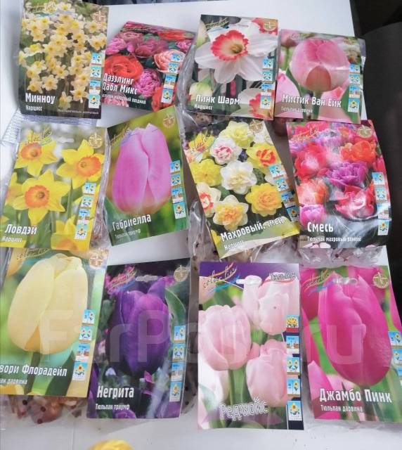 Нарцисс махровый , упаковка 8 шт - Сад и огород во Владивостоке