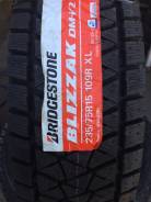 Bridgestone Blizzak DM-V2. ,  , 2020 ,  