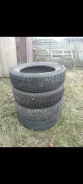 Federal Himalaya WS2. ������, ��� �����, �/�, ����� 30 % ����