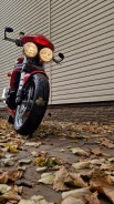 Triumph Speed Triple. 955����. ��., ��������, ���, � �������� ����
