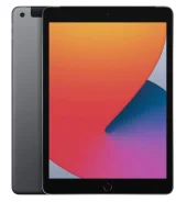 Apple iPad 2020. 10.2 ������ ����