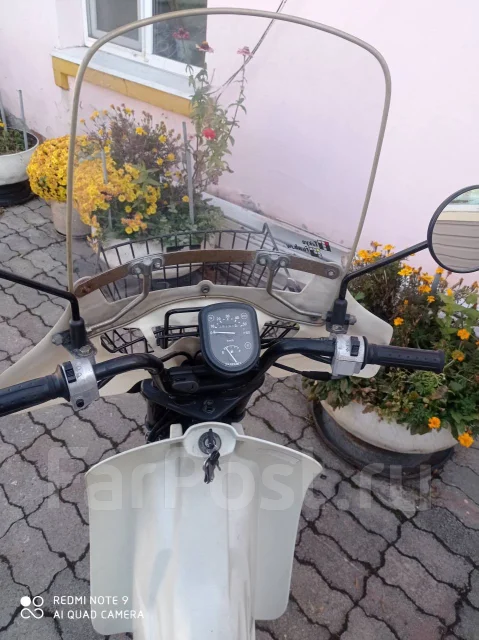 Suzuki Birdie. 50����. ��., ��������, ��� ������� ����