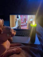 ����. ����