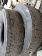 TyRex Professional DR-1. �����������, 2018 ���, �/�, ����� 50 %. �������� ������ ����