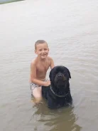 ���������. ����