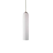   Float  Articolo 