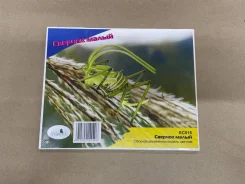 ���������. ����