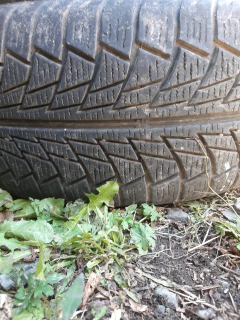 Nankang SV-1. ������, ��� �����, �/�, ����� 40 % ����