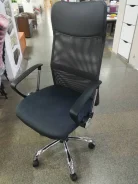 ������ �������. �����, ������ ����