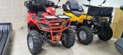 Irbis ATV250. ��������, ��, ��� ������� ����