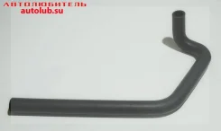 �������� ��������� 3163 ���������� � 2017 316300810120800 ����