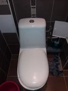 ������ ����. ����