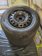 Avatyre Freeze. ������, ����������, �/�, ����� 20�% ����