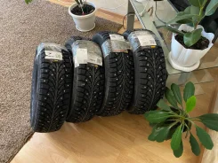 Formula Ice. ������, ����������, 2022 ���, �����. ��� ���� ����