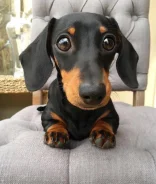 �����. ����