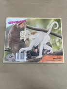 ��������. ����