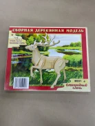 �����. ����