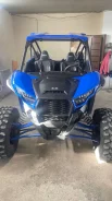 Kawasaki Teryx. ��������, ���� ���\���, � �������� ����